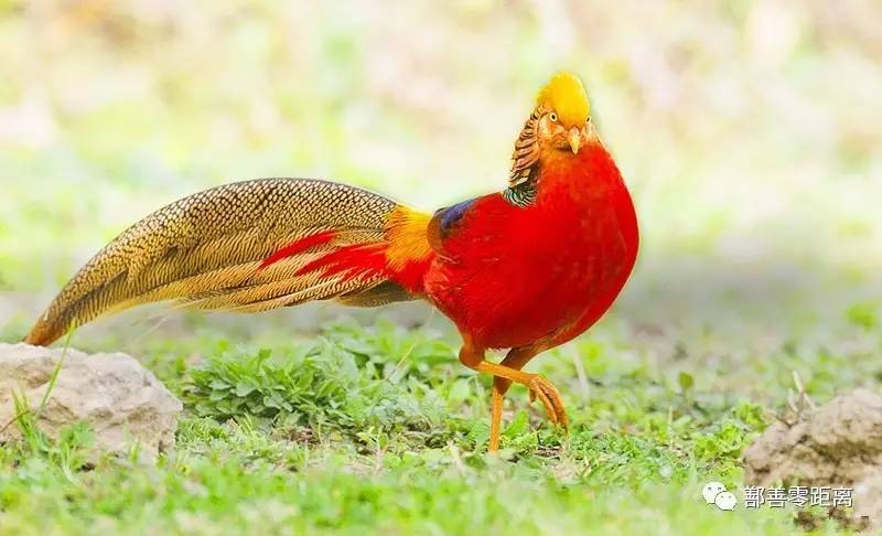 鄯善沙漠景区,鄯善旅游景点攻略大全最新