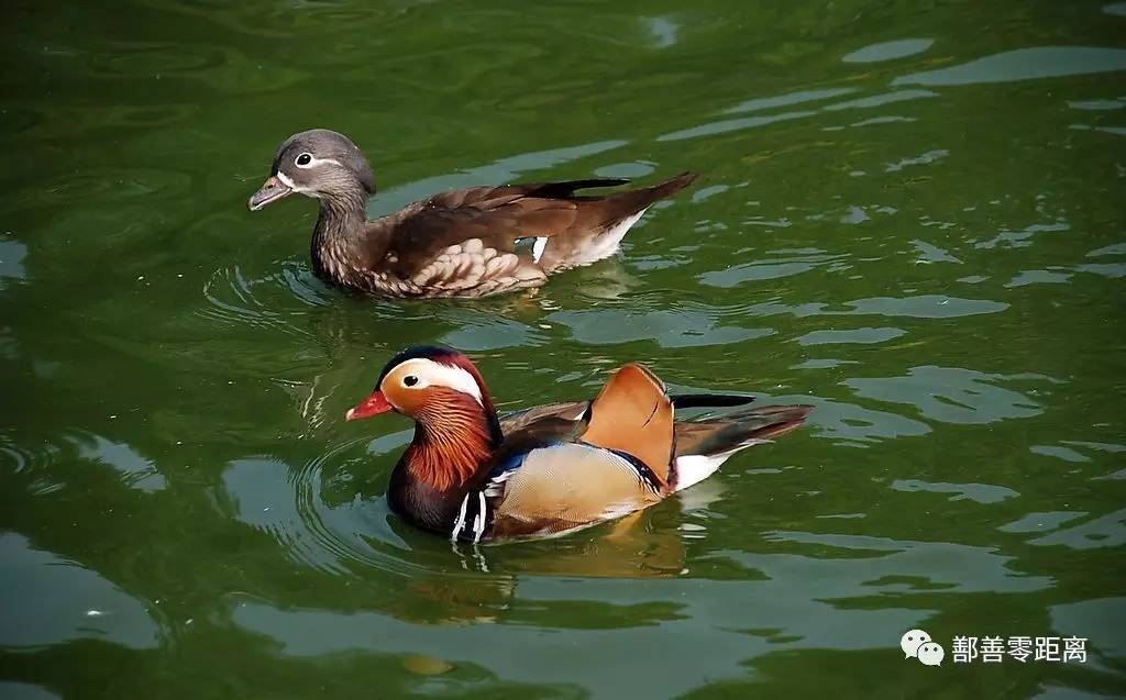 鄯善沙漠景区,鄯善旅游景点攻略大全最新