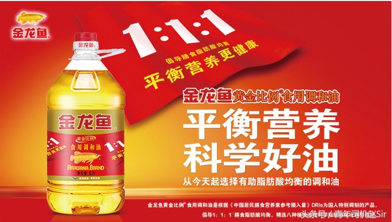 省钱大作战：机油与色拉油有什么区别？（一）