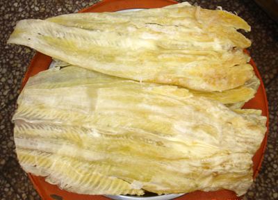 鱼唇是鲨鱼哪个部位,鲨鱼鱼唇是鱼的哪个部位