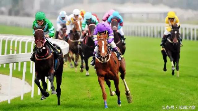 板上钉钉！17项国际赛事贯串成都今年！牛！