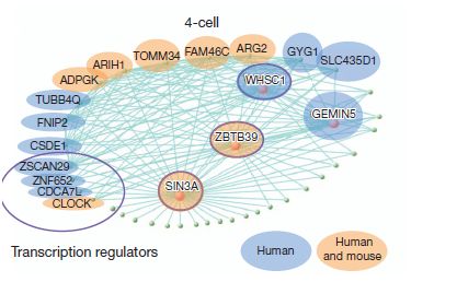最新数据分析方法有哪几种,数据分析有哪些分析方法