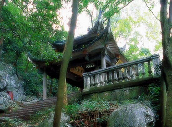 一番桃李花开尽的上一句,一番桃李花开尽全文