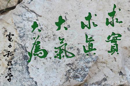 中国各大高校校训及解析,985高校校训里你最喜欢哪个