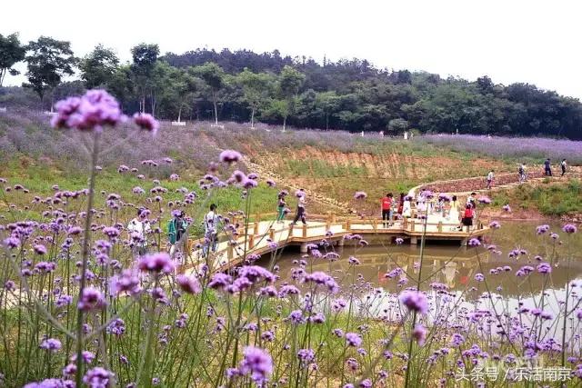 南京莫愁湖公园免费,南京免费公园免费开放日一览表