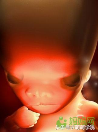 孕期1到40周胎儿发育全过程,胎儿发育40周全过程动态画