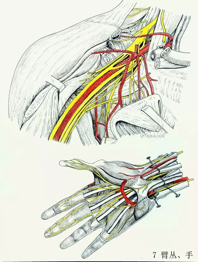 正所谓画骨画皮也画心,画皮画骨还画心