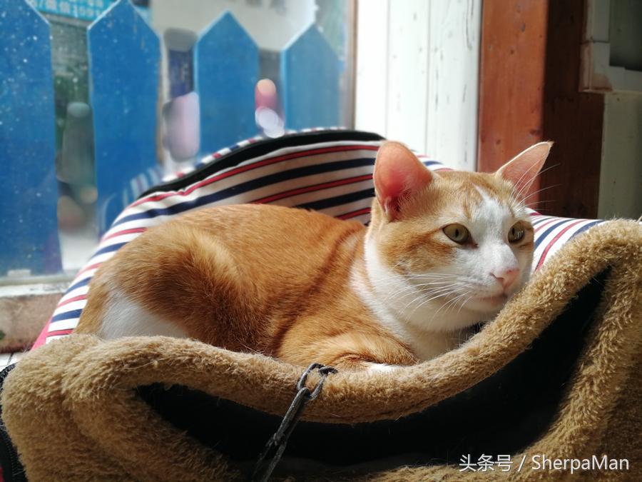 光荣v9和p10plus哪个性价比高,光荣v9和p10哪个更好