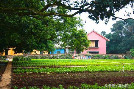 永州现真人开心农场-你还让人偷菜吗？