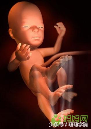 孕期1到40周胎儿发育全过程,胎儿发育40周全过程动态画