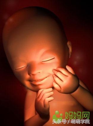 孕期1到40周胎儿发育全过程,胎儿发育40周全过程动态画