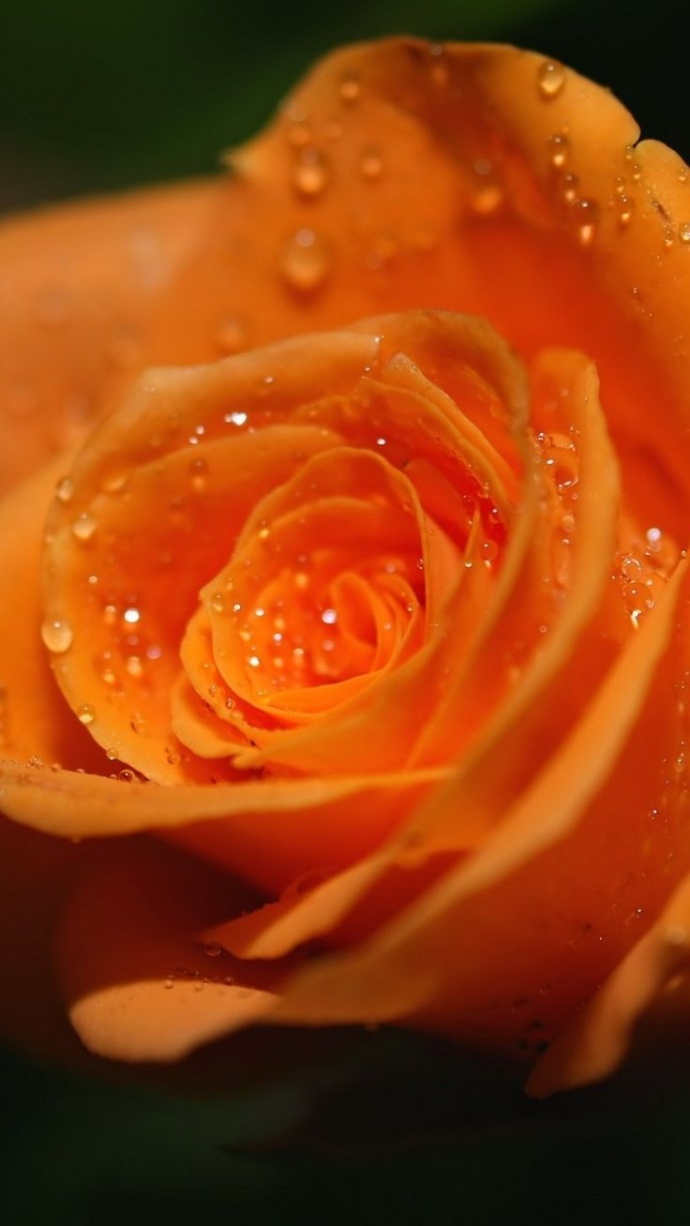 栗子姐每日情感问答、把脉情感、犀利点评（3月27日）