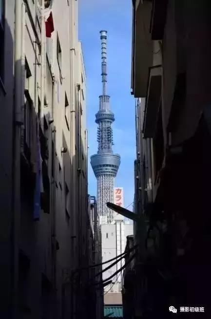 摄影新手必学的20种基础构图,摄影11种构图技巧