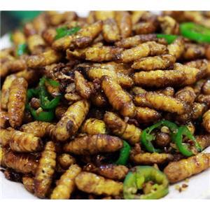 一些奇奇怪怪的虫子美食,各种虫子美食大总结