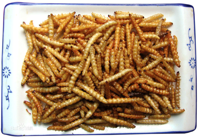 一些奇奇怪怪的虫子美食,各种虫子美食大总结