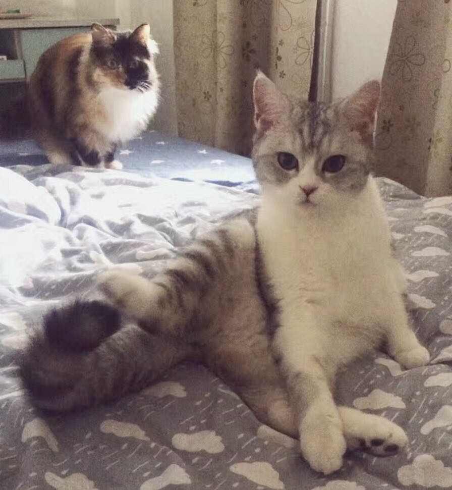 最适合理财小白学习的书,从小白到理财达人教程