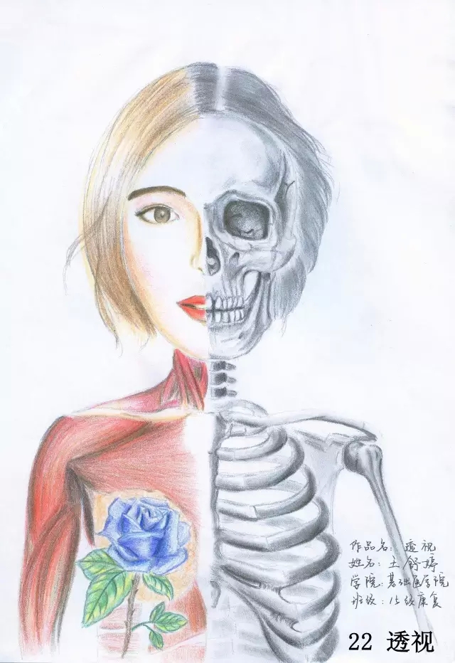 正所谓画骨画皮也画心,画皮画骨还画心