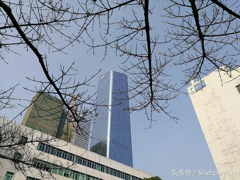 光荣v9和p10plus哪个性价比高,光荣v9和p10哪个更好