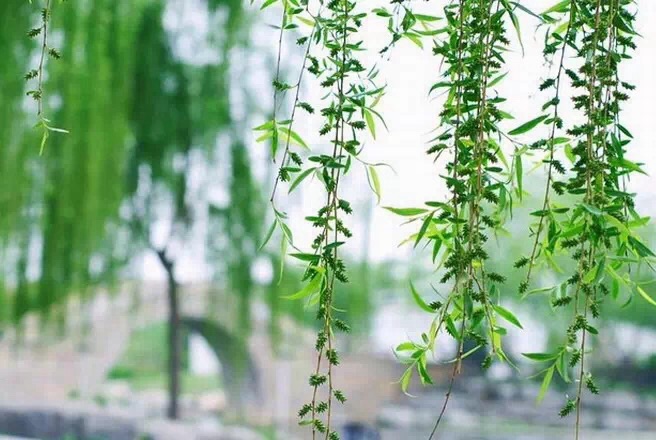 怎样判断鱼缺氧,鱼缺氧有效方法