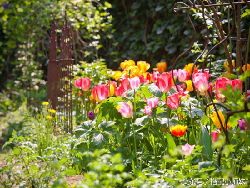 胖女孩不应该穿什么衣服,谁说胖女孩穿衣不好看