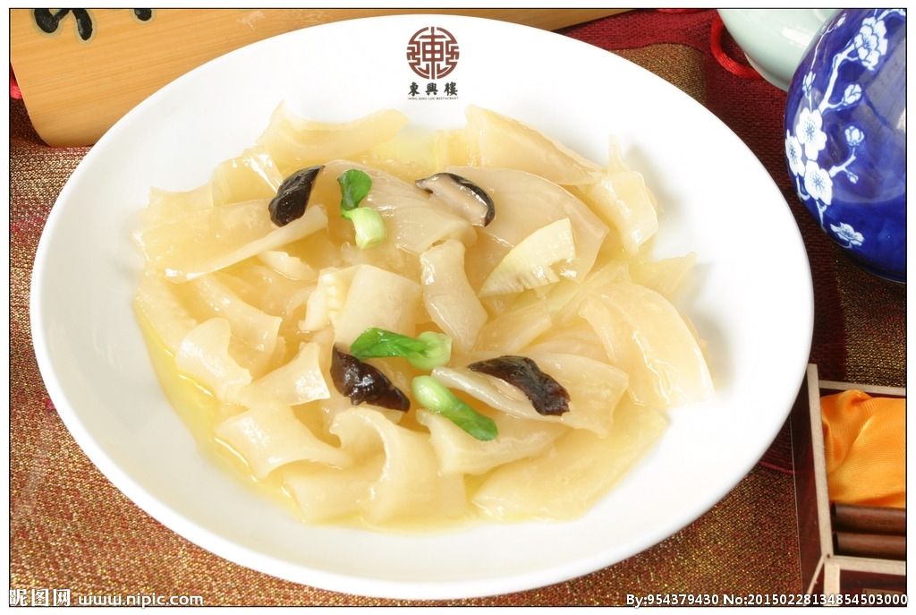 鱼唇是鲨鱼哪个部位,鲨鱼鱼唇是鱼的哪个部位