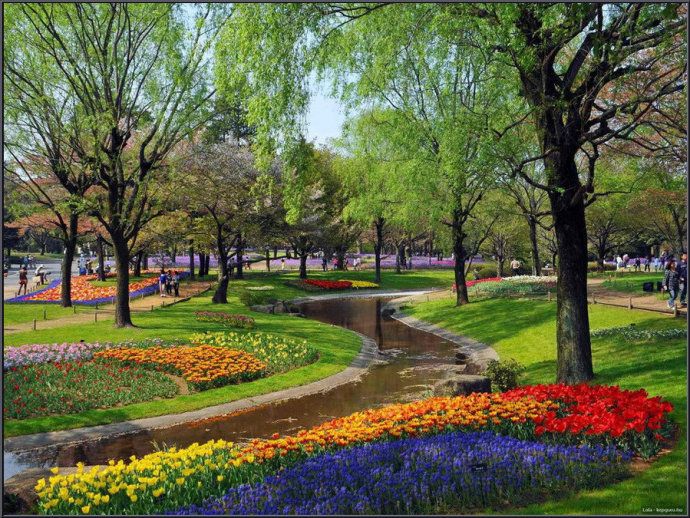 数学文化精品课例,精品课数学广角