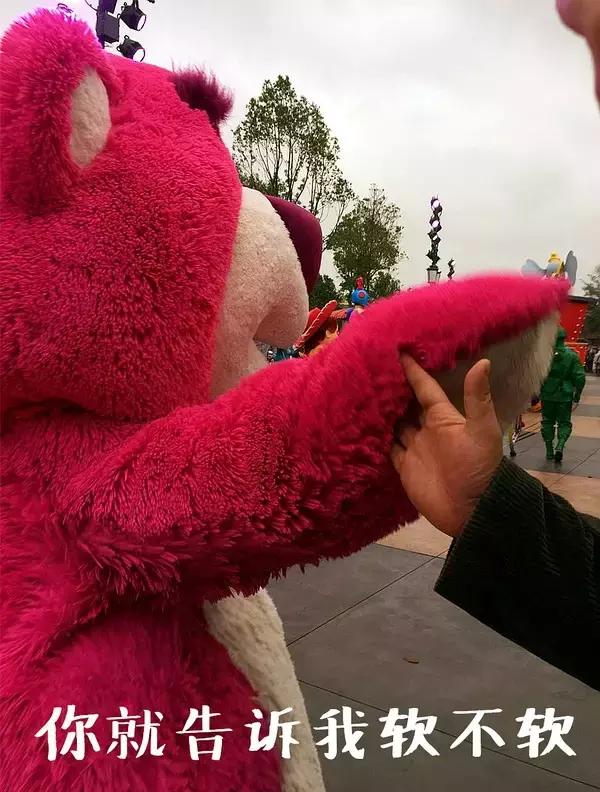 上海迪士尼乐园游玩全攻略,上海迪士尼乐园游玩攻略全过程