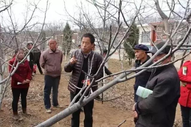 陈金海：陕西核桃已超千万亩，大多数种植户将面临滞销的挑战！