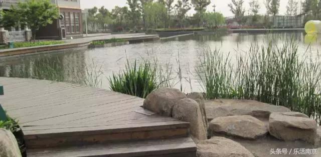 南京莫愁湖公园免费,南京免费公园免费开放日一览表