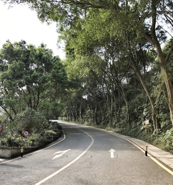 深圳有什么好玩的地方呢,深圳有什么好玩的地方适合小孩