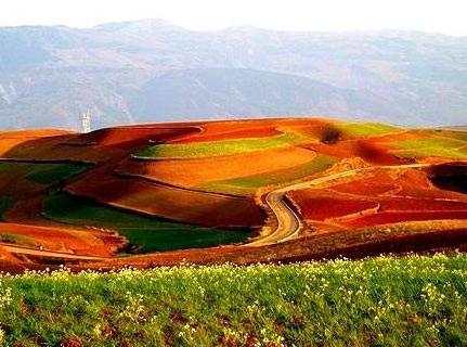 网址大全500个,网址信息一般是什么