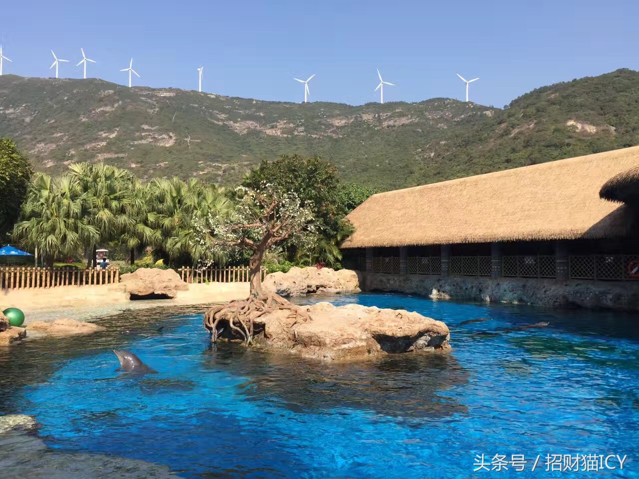 珠海长隆奇幻之旅,广州珠海长隆两天一夜攻略