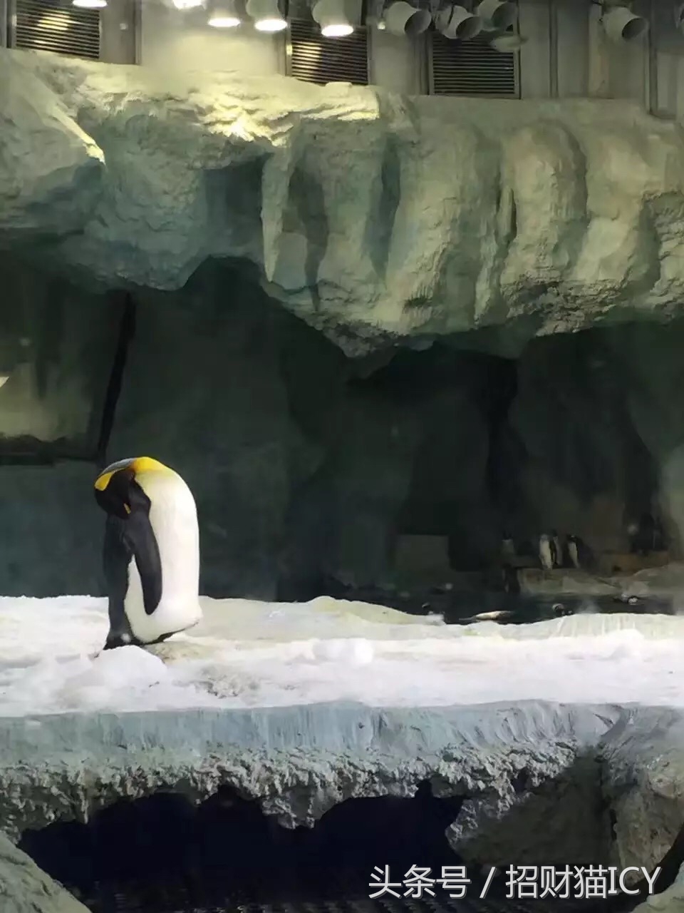 珠海长隆奇幻之旅,广州珠海长隆两天一夜攻略