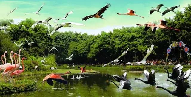 广州清明节假期旅游攻略路线推荐,清明节旅游推荐广州