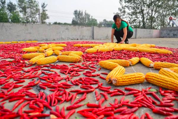 农村睡炕好还是睡床好,东北农村睡觉是床还是炕