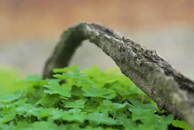 有害成分护肤品,最新护肤品有害成分公布