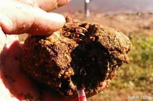 钓鱼爆炸钩与饵料的正确使用方法,爆炸钩正确挂饵钓底方法