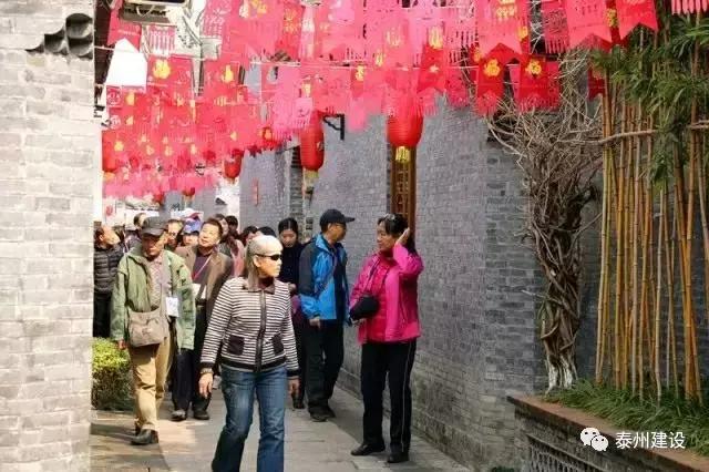 广东首次开往泰州的“花境”梦东南专列近600名游客畅游稻河湾