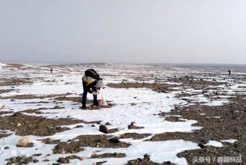 怎么区分新疆戈壁海蓝宝石的真假,价值400万的新疆戈壁海蓝宝石