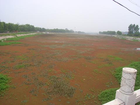 和田玉捡漏技巧,和田玉捡漏指南