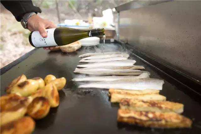 澳大利亚袋鼠岛旅游攻略,袋鼠岛旅游