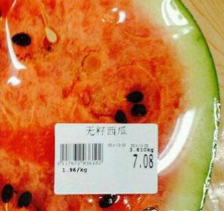 大象和蚂蚁的故事笑话,蚂蚁对大象说了什么大象就晕倒了