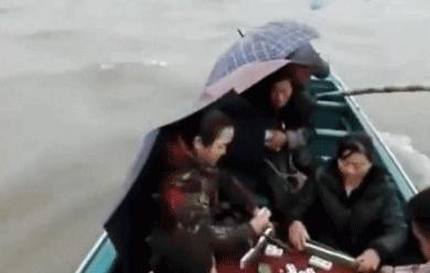 大象和蚂蚁的故事笑话,蚂蚁对大象说了什么大象就晕倒了