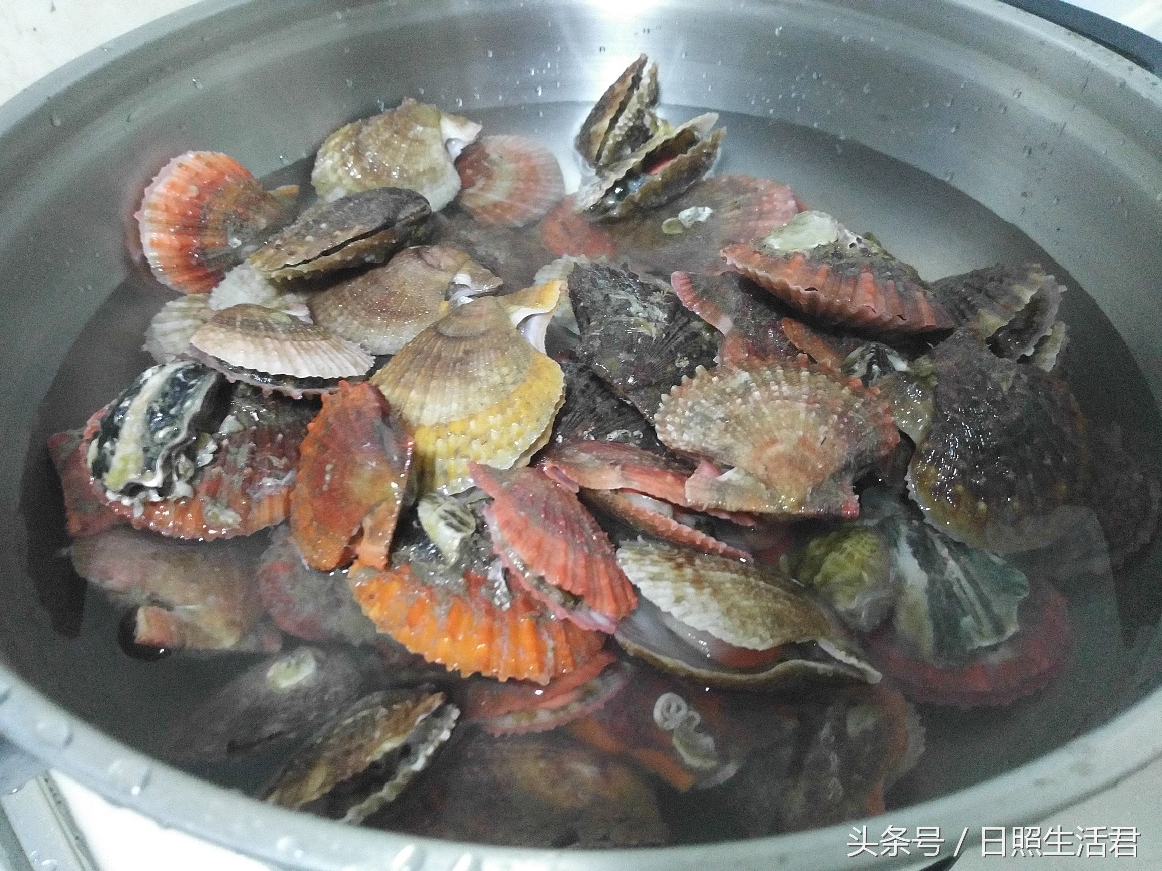 日照的海鲜还敢不敢吃了,日照的海鲜现在能不能吃