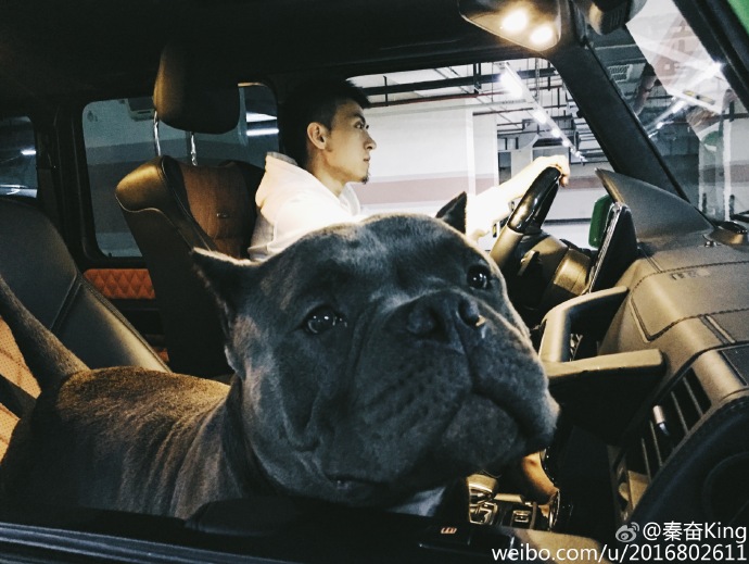 5000分手费,在一起几个月5万分手费少吗