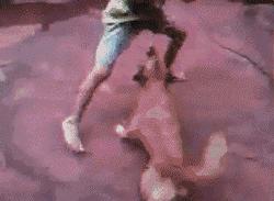 龟派气功投篮,龟派气功十大必杀