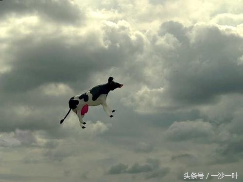 app运营费用明细表,app代运营报价单