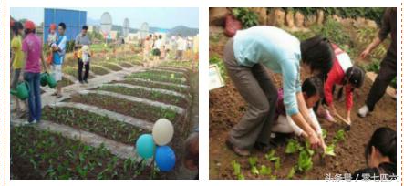 永州现真人开心农场-你还让人偷菜吗？