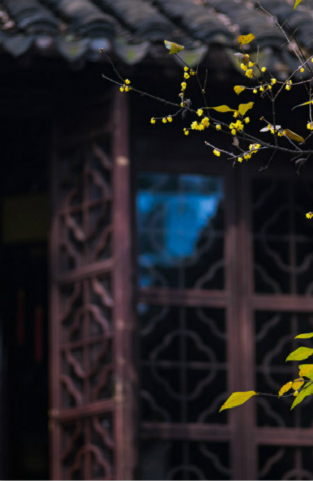 初中生必背古诗词最全整顿,初中生必背古诗词大全集