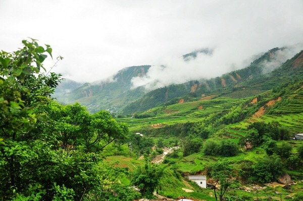 清明深圳周边一日游好去处,深圳仙湖植物园清明踏青赏花